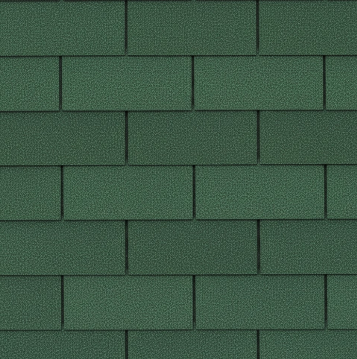 Evergreen Blend