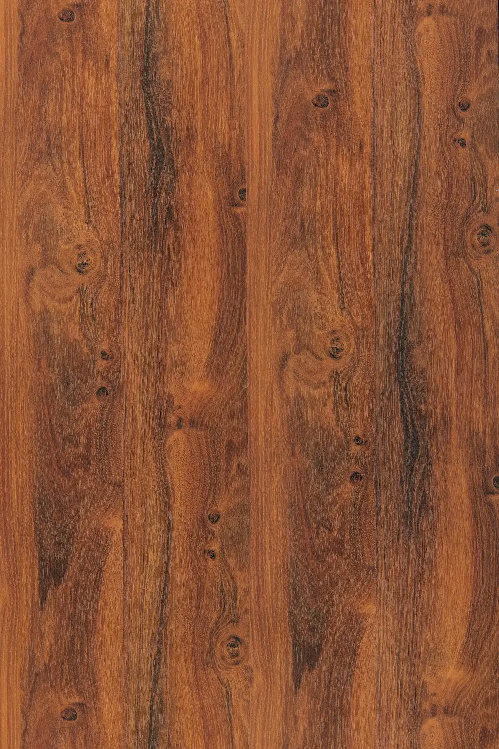 Elegant Oak (DD)
