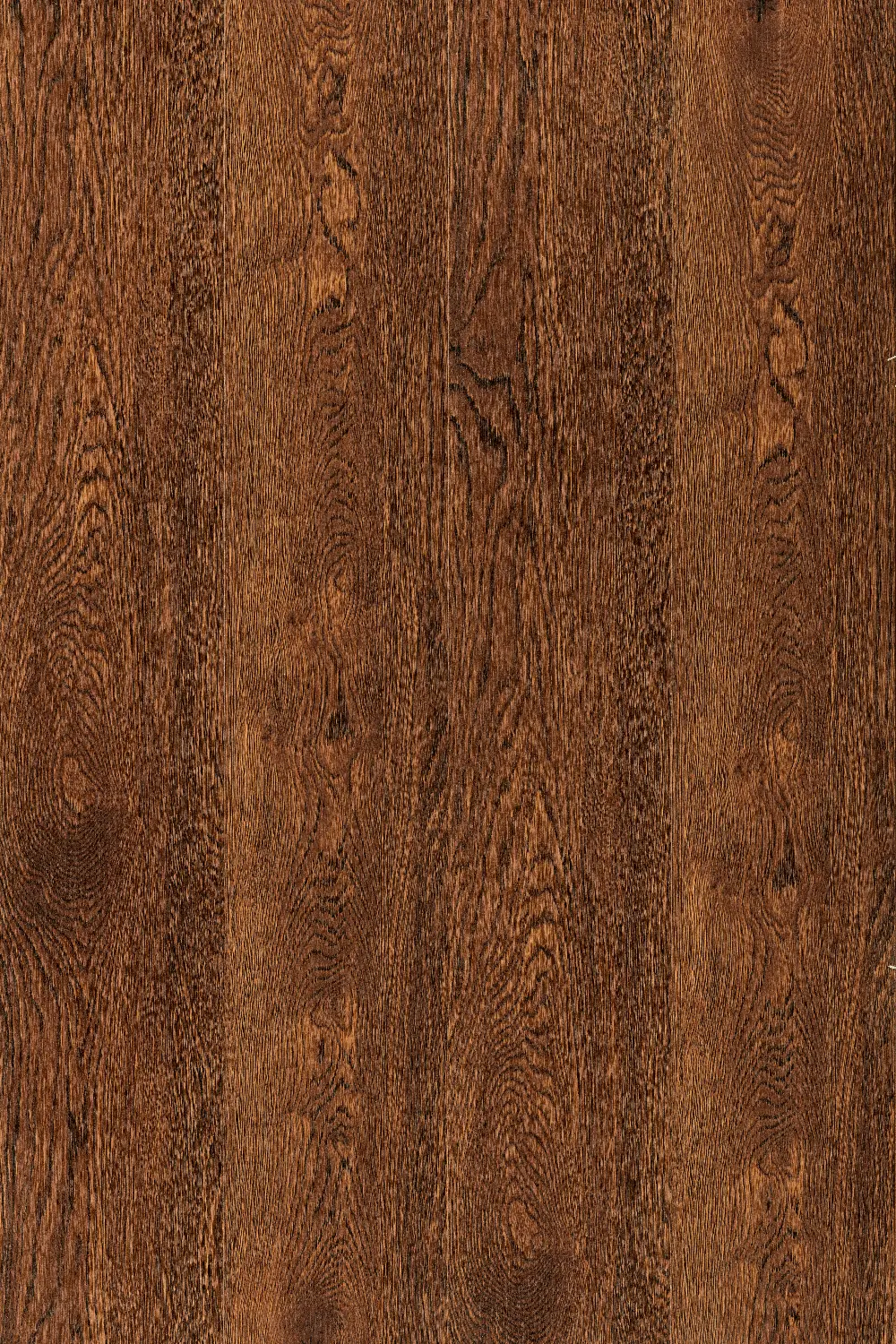 Chocolate Oak