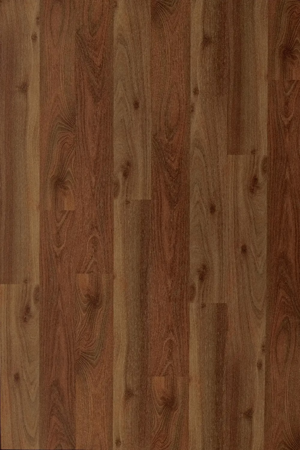 8mm AC-4 Olive Ash (MT) Shade Action TESA HDF Laminated Flooring - 8 Pieces Per Box 